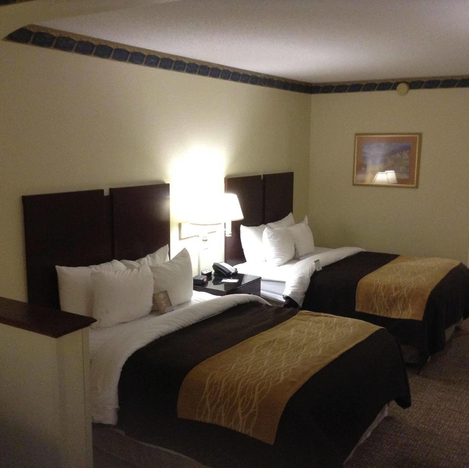 Comfort Inn & Suites Ftjackson Maingate Columbia Esterno foto