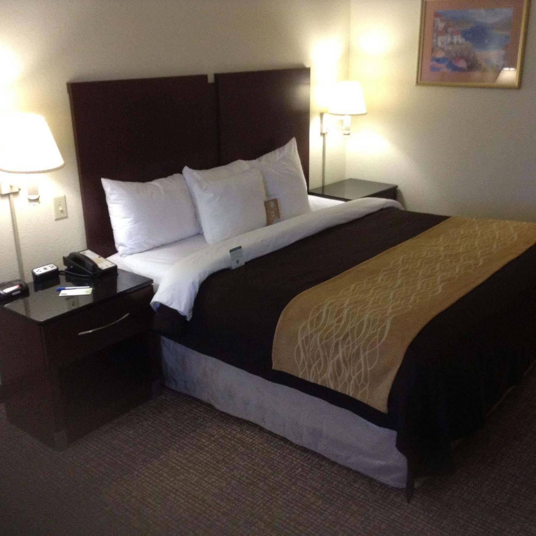 Comfort Inn & Suites Ftjackson Maingate Columbia Esterno foto